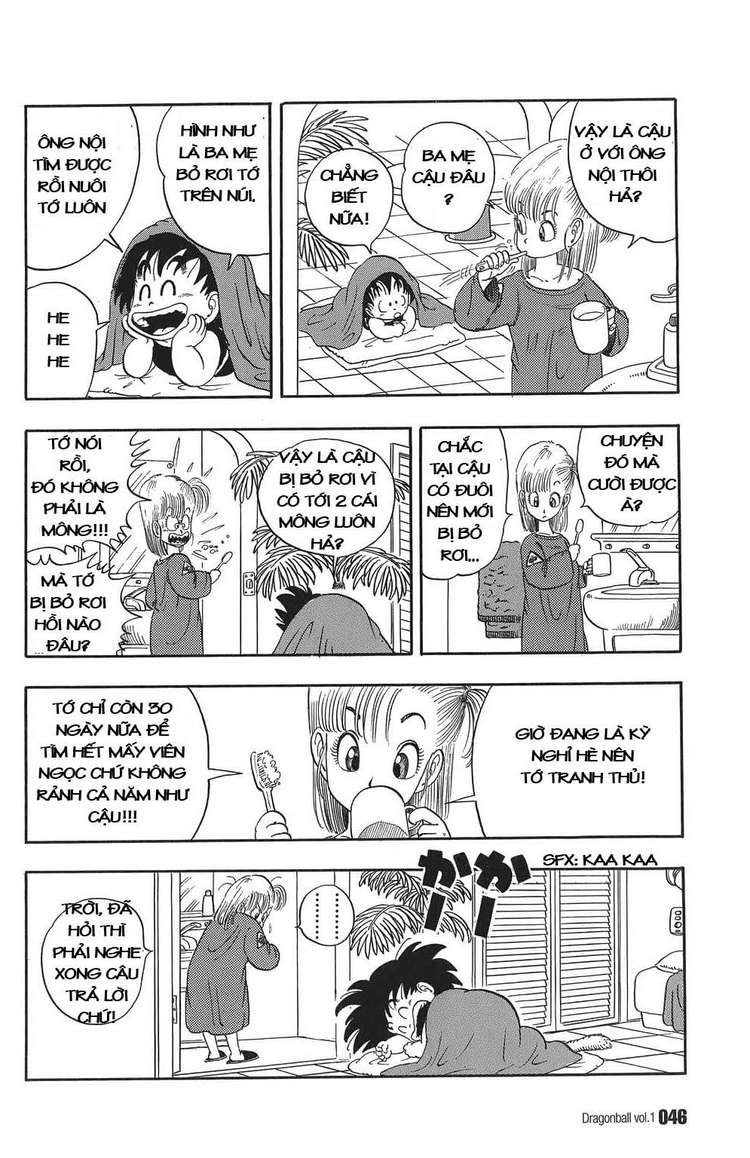 Dragon Ball Chap 2 trang 11